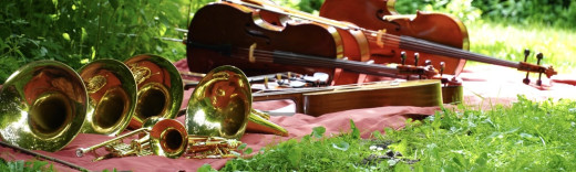 instrumente auf der wiese
